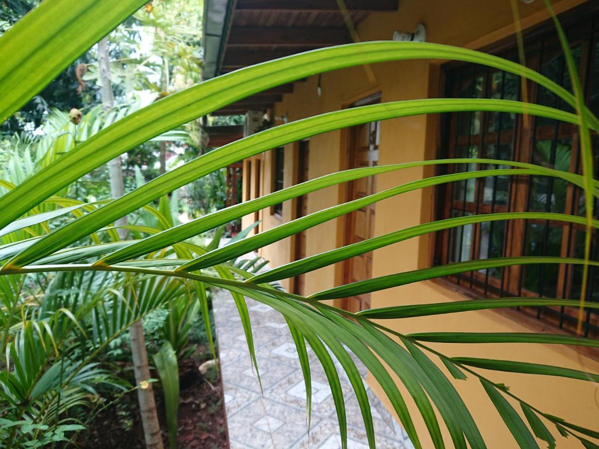 La Posada De Moncho Hotel Puerto Iguazu Exterior photo